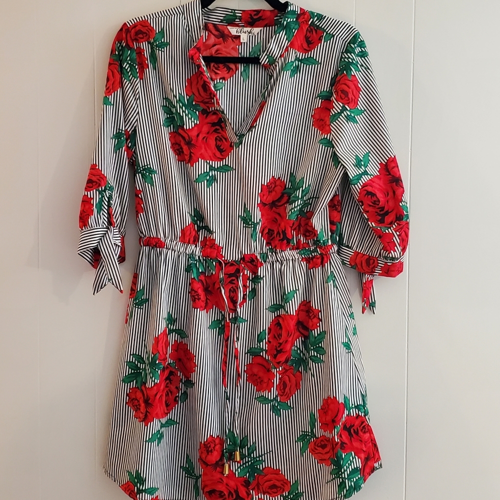 Black and white striped, red floral desss